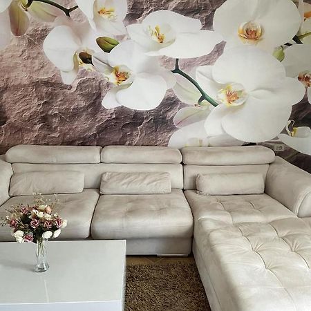 Sunkissed Centre Apartment Vlorë Εξωτερικό φωτογραφία